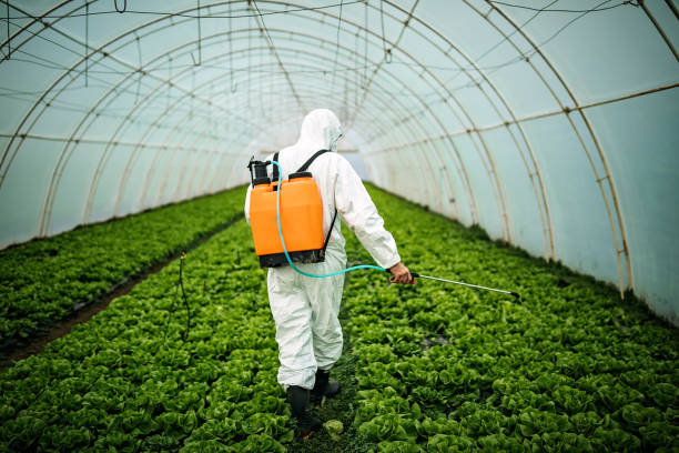 Best Pest Prevention Services  in New Cumberland, PA
