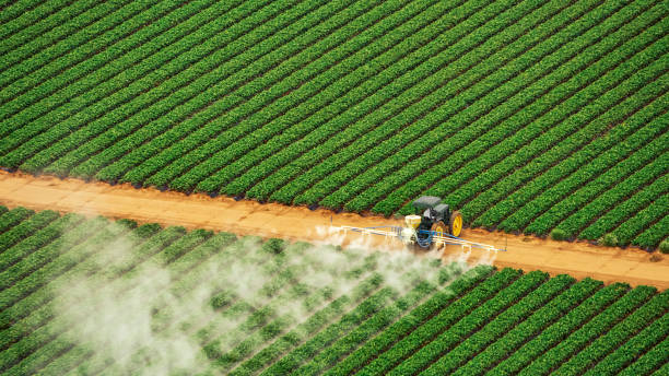 Best Pest Removal Services  in New Cumberland, PA