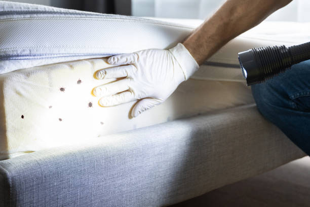 Pest Control Cost in New Cumberland, PA