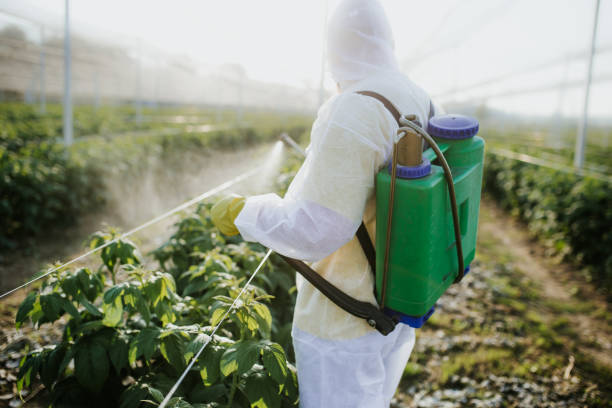  New Cumberland, PA Pest Control Pros